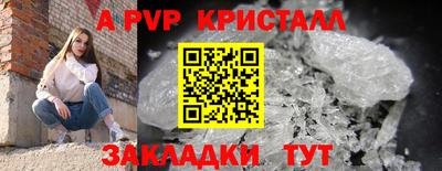 прущие грибы Ипатово